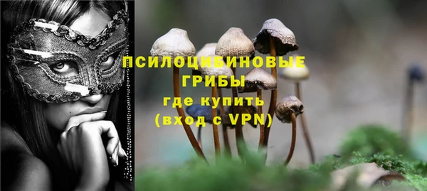 сатива Алексеевка