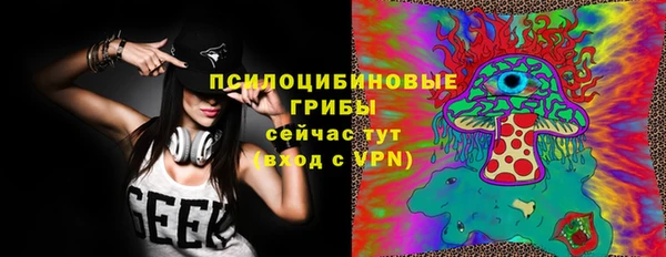 сатива Алексеевка